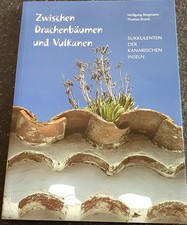 Zwischen Drachenbäumen und