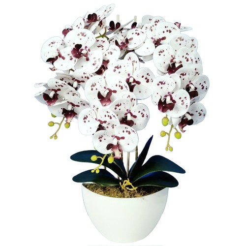 Weiße künstliche orchideen - weiße,