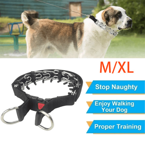 Verstellbares hundehalsband - verstellbares,
