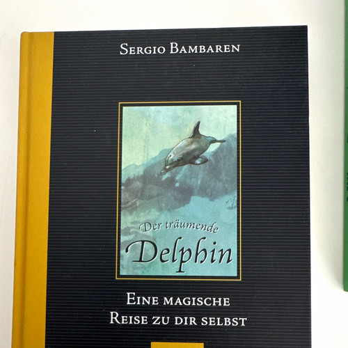 Sergio bambaren der träumende - sergio,
