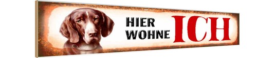Holzschild 10x46 beagle - cm,
