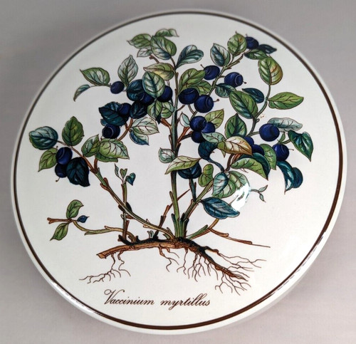Villeroy boch botanica - &, dose