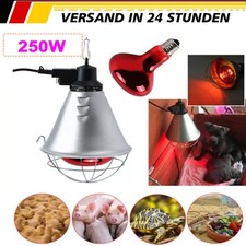 Aufzuchtleuchte Wärmelampe