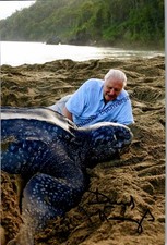 Original Autogramm David Attenborough (*1926) /// Autograph signiert sign 322984