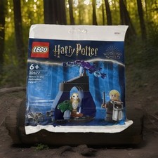 🧙🏻‍♂️30677 LEGO