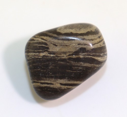 Stromatolith
