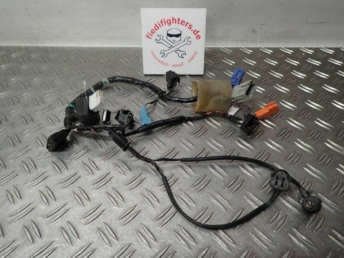 Kabelbaum hauptscheinwerfer - kabelbaum,