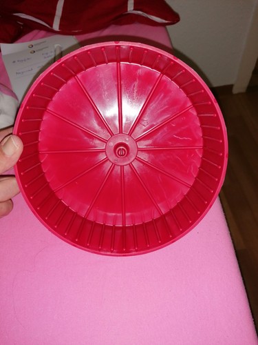 Nager rad hamster - nager, neu