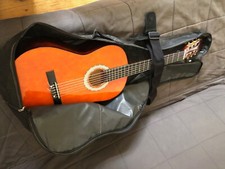 Guitar Ashley Classic with a Sleeve