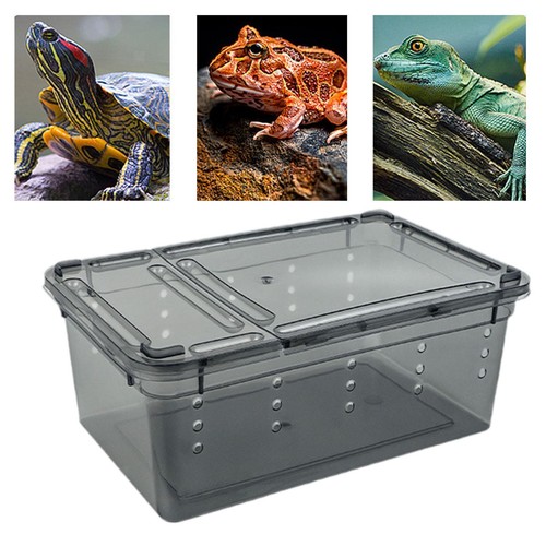 Futterbox für reptilien - futterbox,