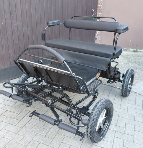 Buggy minishetty shetty - buggy, minishetty/shetty
