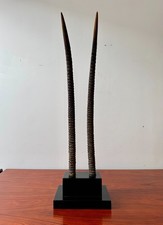 Faux Afrikanische Oryx Hörner auf einem Sockel