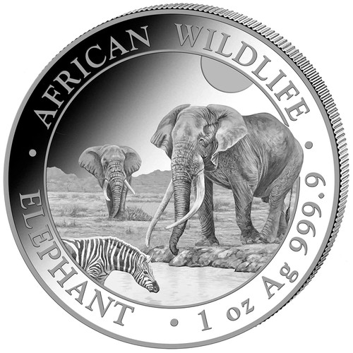 Elefant elephant silbermünze - elefant,
