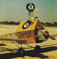 Snoopy Und Sein Hund Haus