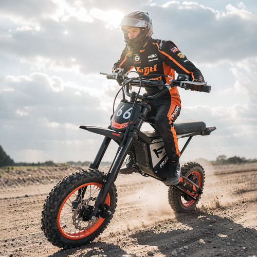 Freeboy elektro motorrad - freeboy,