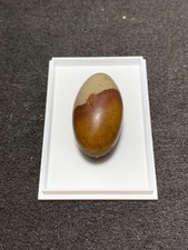 Shiva-Lingam, Indien