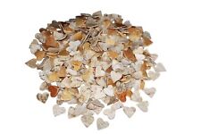 200 Stk Birkenherzen Landhaus Birke Herzen Holz Birkenherz Hochzeit Holzherzen