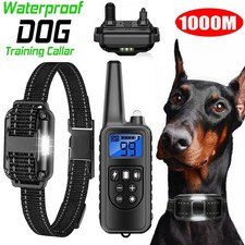 Fernbedienung Hund Ausbildung