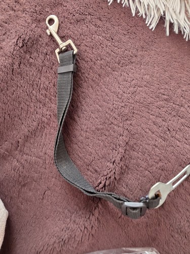 Anschnallgurt für hunde - für,