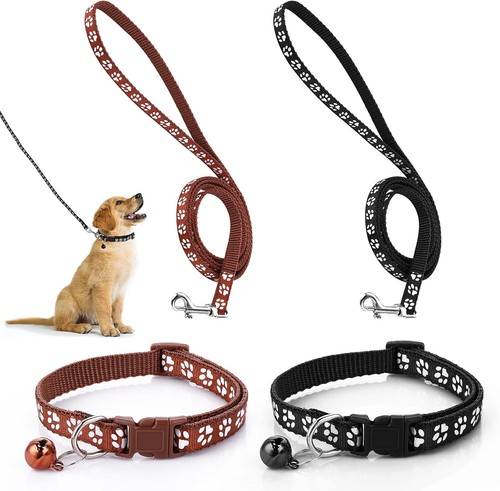 Molain hundehalsband und - molain,