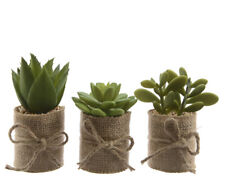 3 künstliche Sukkulenten 12cm im Topf Mini Bonsai Kakteen Kunstpflanze Kaktus
