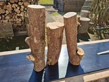 DEKO Basteln 3 Baumstämmchen