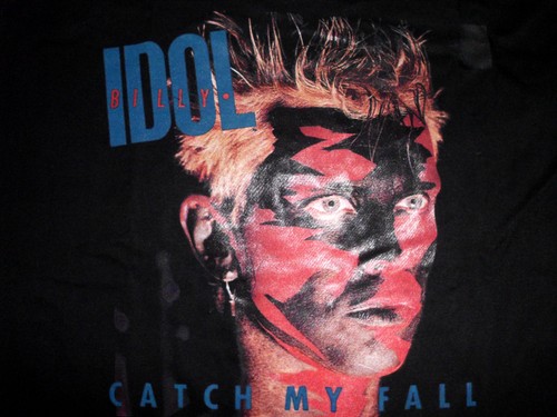 Billy idol catch fall - idol,