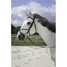 Trense Trensenzaum mexikanisches Reithalfter RIDING WORLD Leder