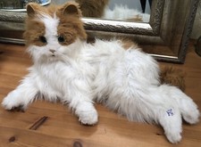 4) FurReal Friends Hasbro Katze Lulu Top Zustand