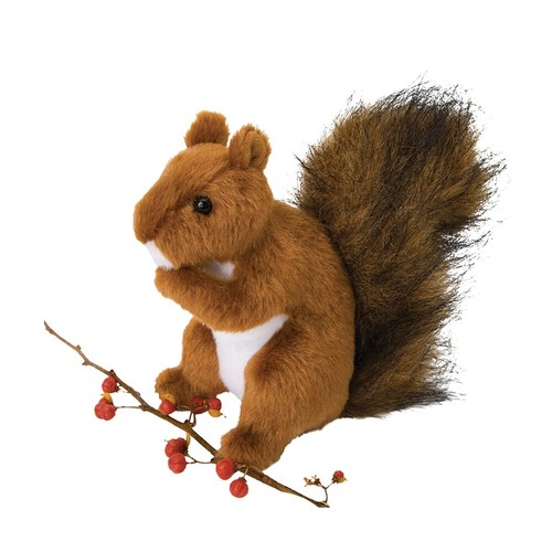Eichhörnchen roadie - eichhörnchen, "roadie"