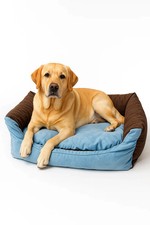 Hundebett Hundesofa Hundekissen Katzenbett Hundekorb schlafplatz Dog bed Max