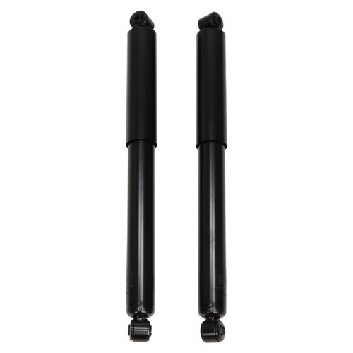 Stoßdämpfer satz hinten - 2x,