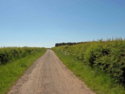 Foto 6x4 rayton lane - foto, worksop