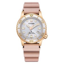 Citizen promaster eo2023 00a - citizen, eo2023-00a