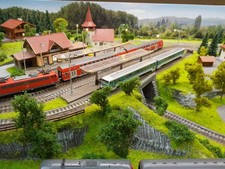 Komplettanlage Spur N Fleischmann Modelleisenbahnanlage (Nr.4725)Lieferung