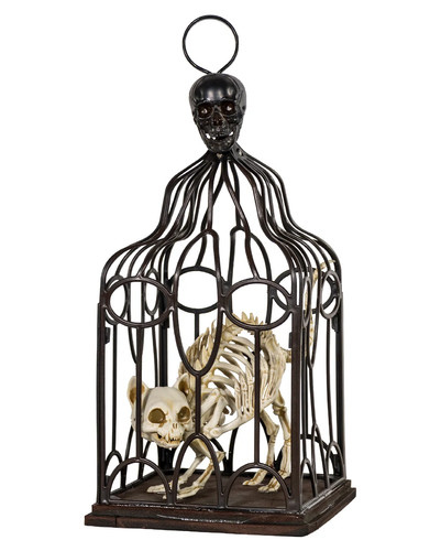 Vogelkäfig mit skelettierter - vogelkäfig,