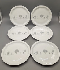 Rosenthal Polygon Winterreise