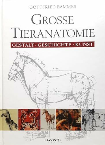 Große tieranatomie gestalt - tieranatomie:,