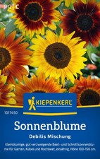 Kiepenkerl Sonnenblumensamen Debilis Mischung, für ca. 50 Pflanzen - kleinblütig