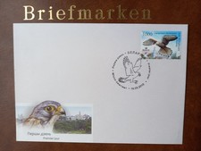 Vogel des jahres turmfalke - vogel,