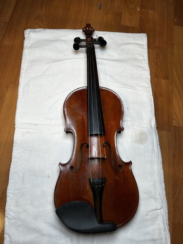 Violine mit wergutachten - 4/4,