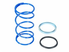 Gegendruckfeder Polini