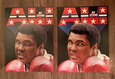 Stern Ali / 2 Flyer (deutsch + US) / Pinball Flipper