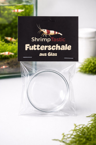 Futter schale aus glas - futter-schale, für