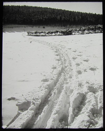 Glaszauber laterne dia - glaszauber,