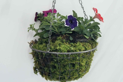 Blumenkorb zum hängen - blumenkorb,