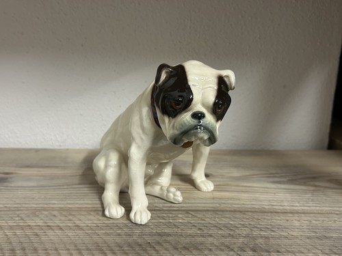 Sitzende englische bulldogge - sitzende,