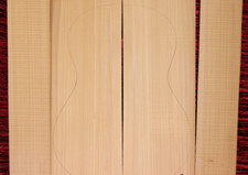 Spanish cypress Flamenco