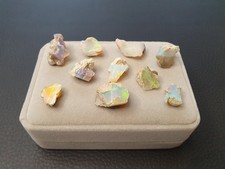 10 Opale roh - 12.44 gr. und 62,2 ct. │ Äthiopischer Welo │ Video