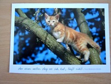 Ansichtskarte Tierpostkarte